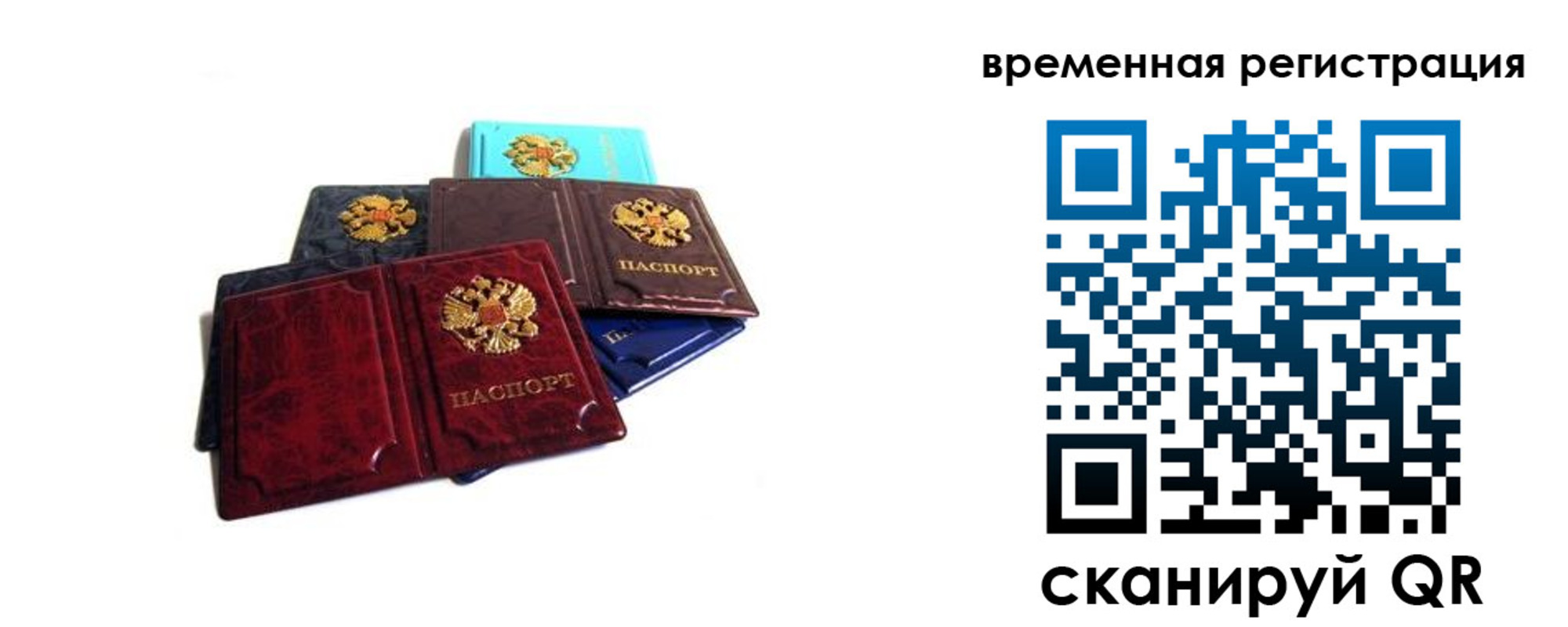 прописка гарантия в Сорочинске
